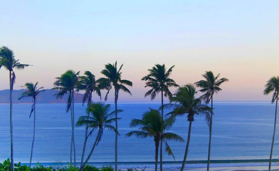 coconut trees in front of twin beaches in El Nido