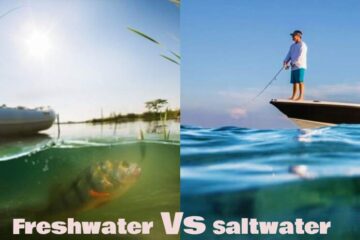 Freshwater fishing vs saltwater fishing boats in water