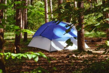 a light color tent under threes means cooling a tent without electricity