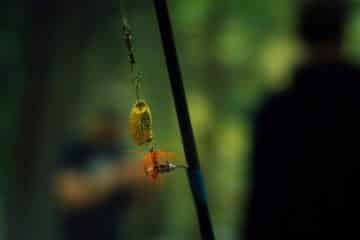 Best Ultralight Trout Fishing Line with Rod