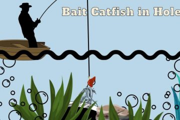 How to Bait a Catfish Hole