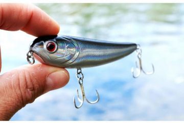 How to Clean Rusty Fishing Lures