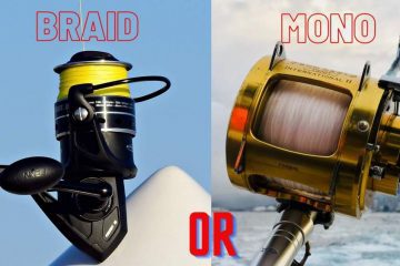 Mono or Braid for Catfish