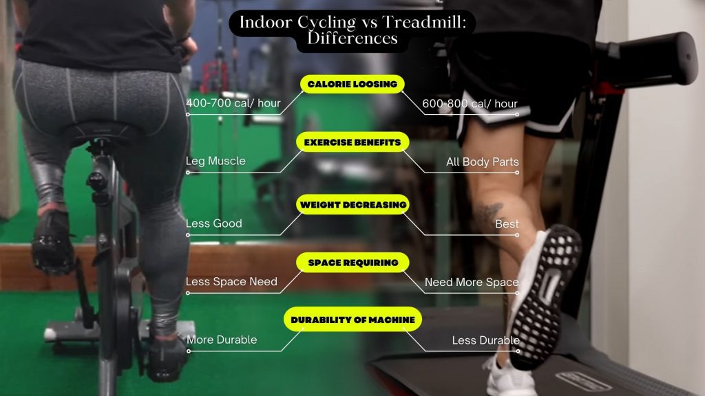 Chart of Comparison Between Indoor Cycling and Treadmill