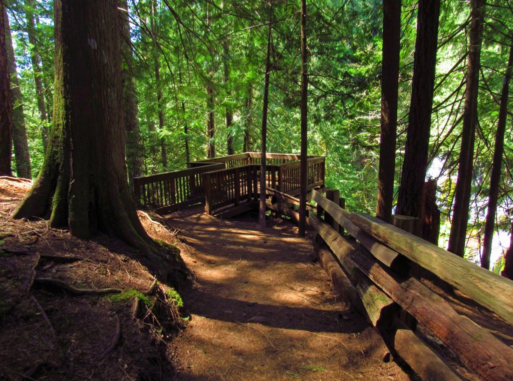 Panther trail