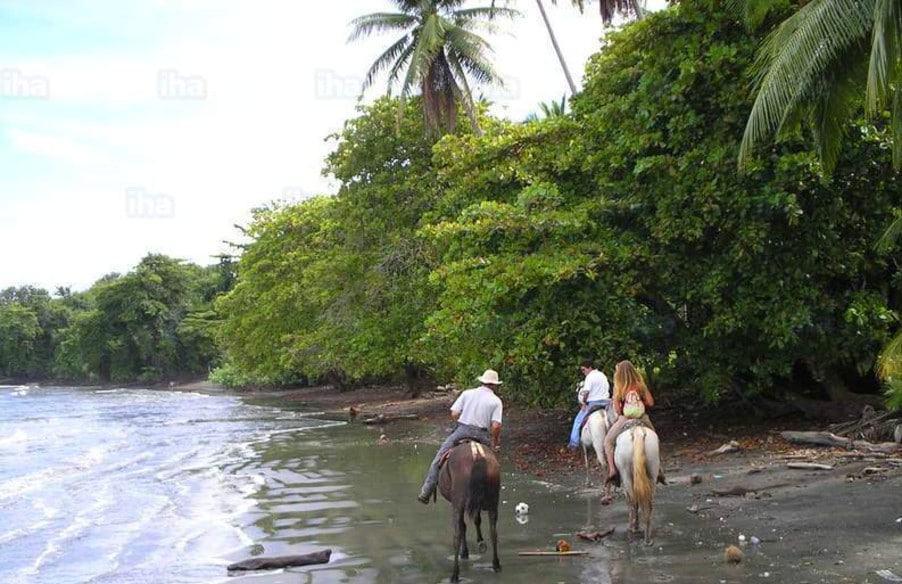 people riding in horses in jaco beach