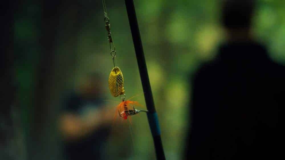 Best Ultralight Trout Fishing Line [Top 9] Anglers Choice 2022