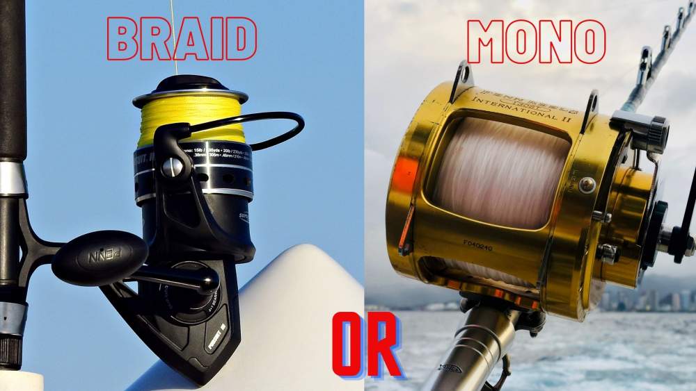 Mono or Braid for Catfish Which is the Best? Travelers Door