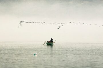 What Is Inland Fishing? [Explained]