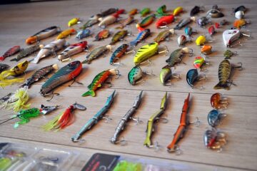 What Are Fishing Lures? [Explained]